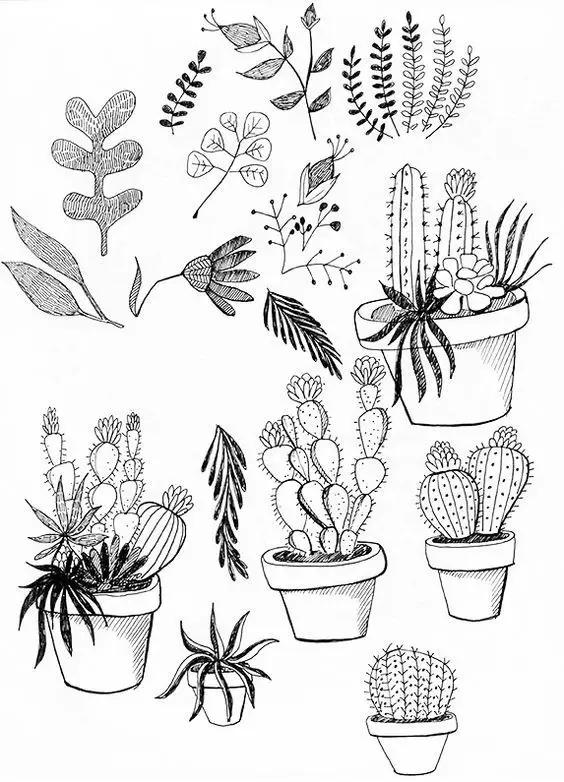 植物手抄报超级简单，植物手抄报小素材