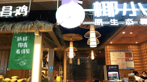 椰子鸡用什么鸡，四个椰子一只文昌鸡（文昌椰子鸡用什么椰子）