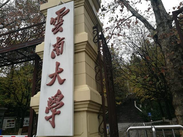昆明海鸥最佳观赏地，去海埂大坝看海鸥前