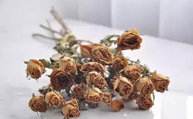 鲜花怎么做成干花，怎么把送的玫瑰花做成干花
