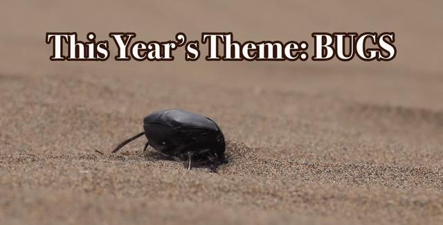 世界上最搞笑的诺贝尔奖，100万亿奖金的搞笑诺贝尔奖