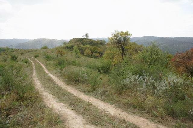 秦直道博物馆为啥废弃了，消失废弃已久的秦直道