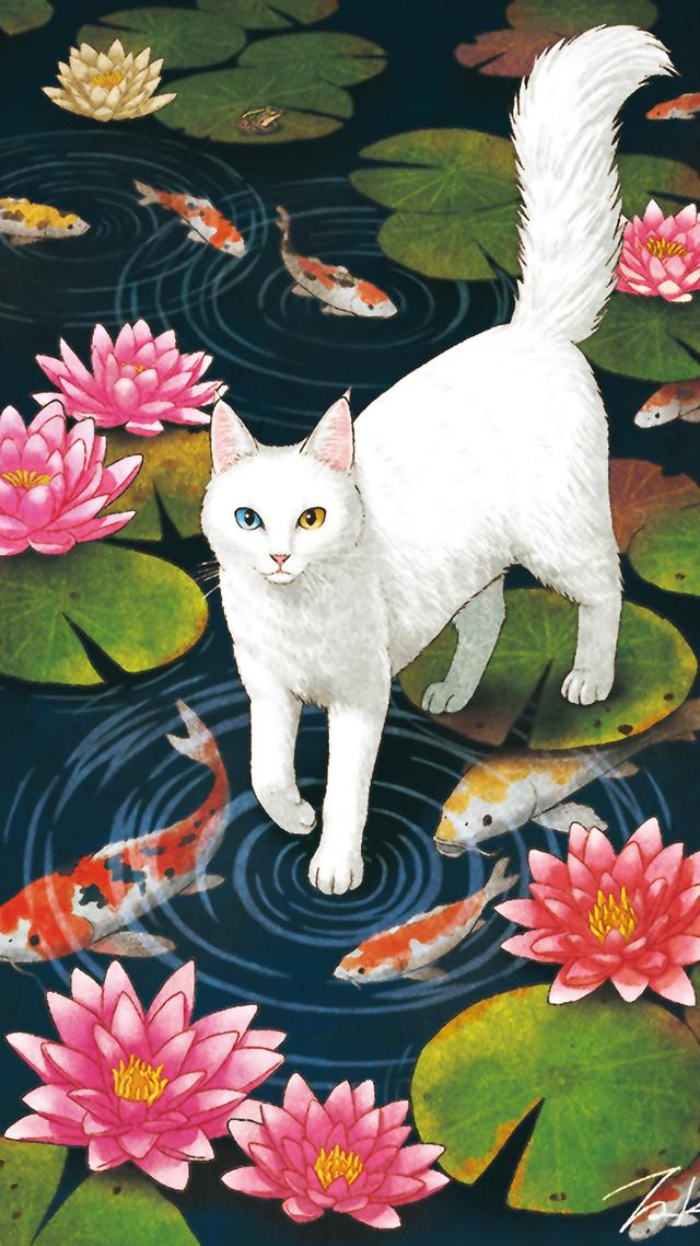 插画可爱简单的猫咪，一组可爱治愈系猫咪插画