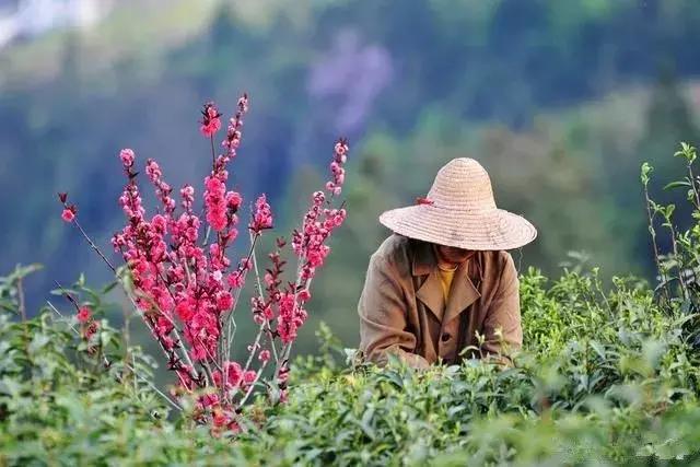 徽州古村落的风景，厚度旅行文山村