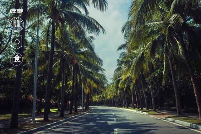 正宗海南椰汁，海南来的椰汁清补凉