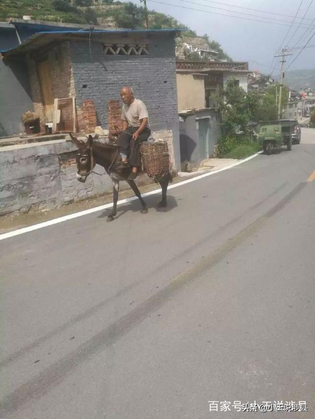 涉县有哪些旅游景点，巍巍太行生态肺城