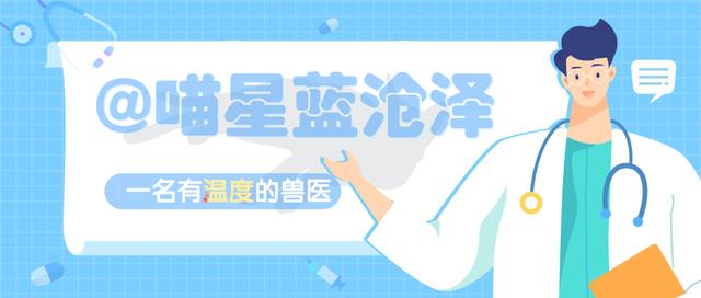 肥胖心机猫(肥厚心肌猫)