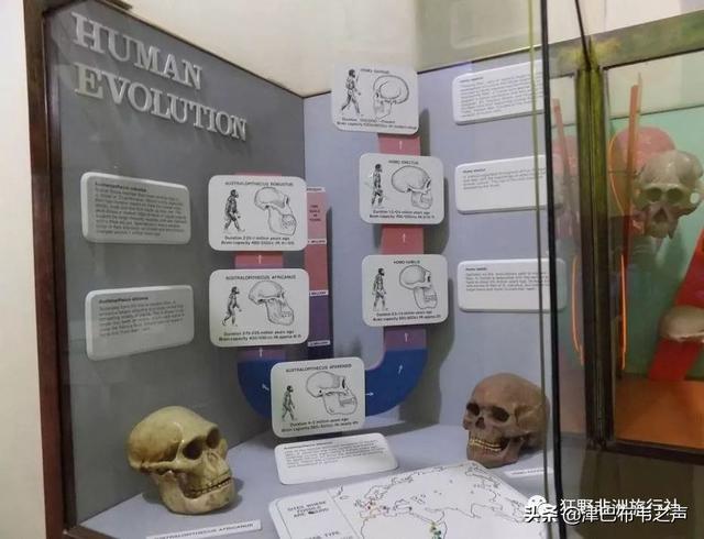 津巴布韦总统现状，津巴布韦总统埃默森·姆南加古瓦在“杂交水稻援外与世界粮食安全”国际论坛上的致辞