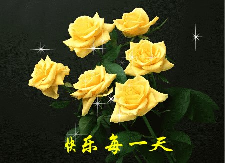 情人节送女孩礼物明日情人节,214朵玫瑰送给亲爱的朋友,祝你们情人节快乐