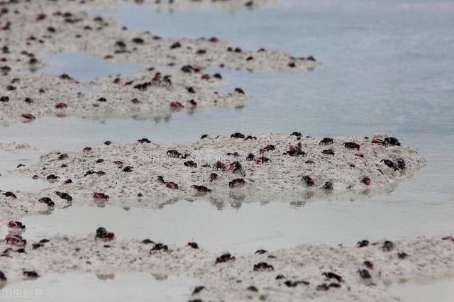 世界上有几个圣诞岛，3000名华人创建的一个童话般的岛屿