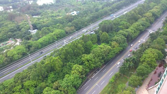 广东粤港高速公路规划，广东将以高标准改扩建一条高速