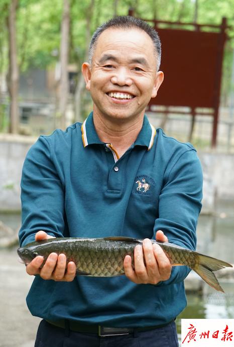 鱼鳞怎么做最好吃，鱼鳞怎么样做着好吃（教你新吃法）