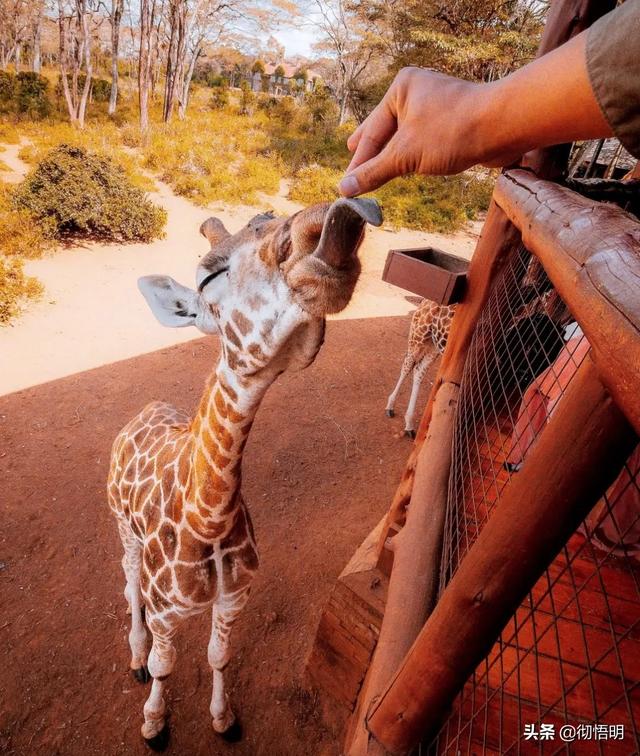 世界最美的地方，世界最美十大地方