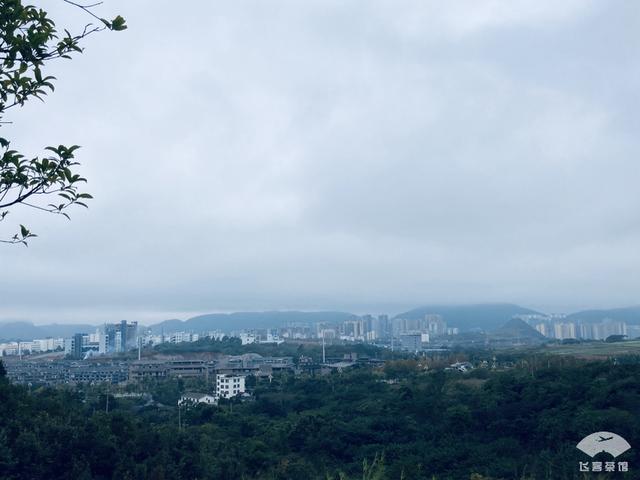 庞巴迪CRJ-900客机，大佬都爱的私人飞机