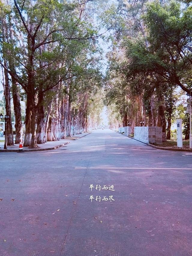 日月如移越少年，网易云热评四句