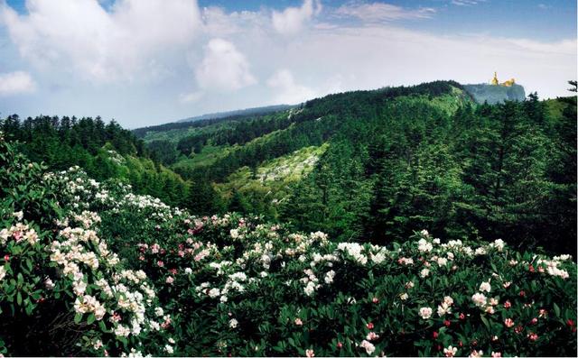 四川峨眉山介绍，中国四大佛教名山之一——峨眉山