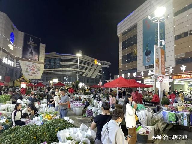 最浪漫的斗南花市，属于斗南的精彩才真正开启