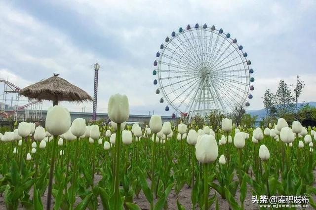 麦积区旅游景点大全，五一游麦积