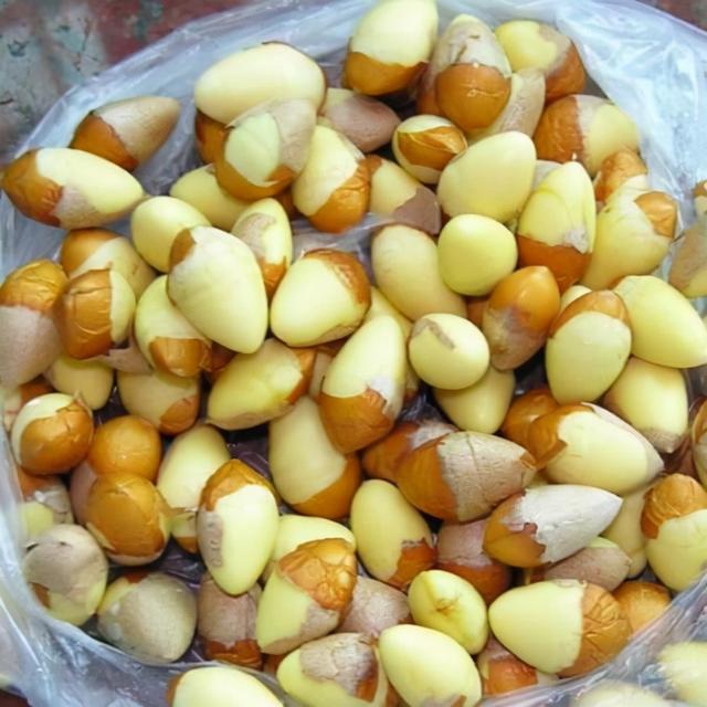银杏果怎么吃好吃又简单，30多岁第一次吃银杏果