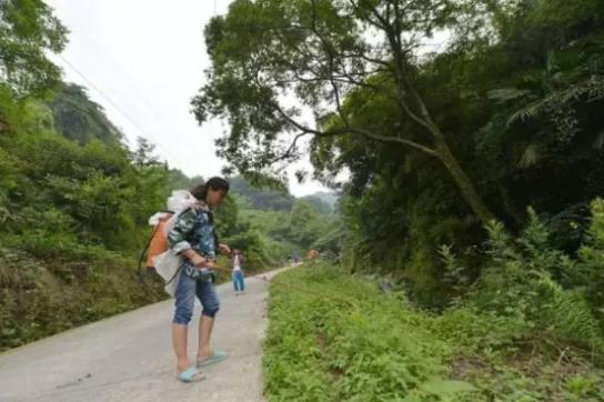 蛇为什么怕雄黄，为什么所有的蛇都怕雄黄（这五种“东西”才是毒蛇的克星）