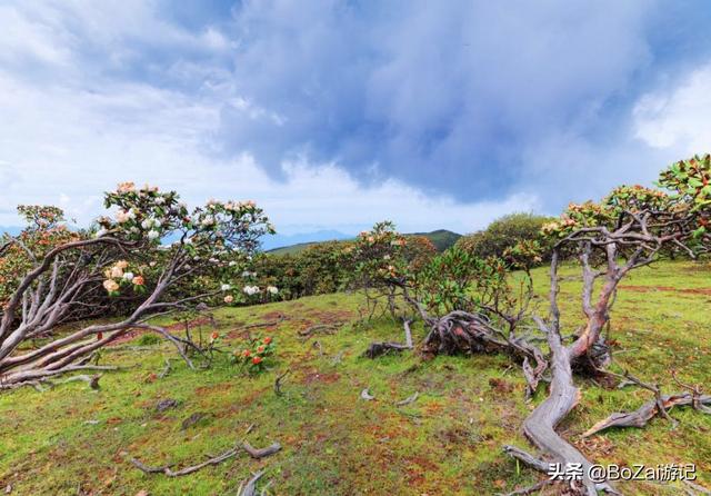 峨眉山乐山旅游，乐山攻略必去十大景点（ChatGPT五分钟整理一套乐山/峨眉山旅游攻略）