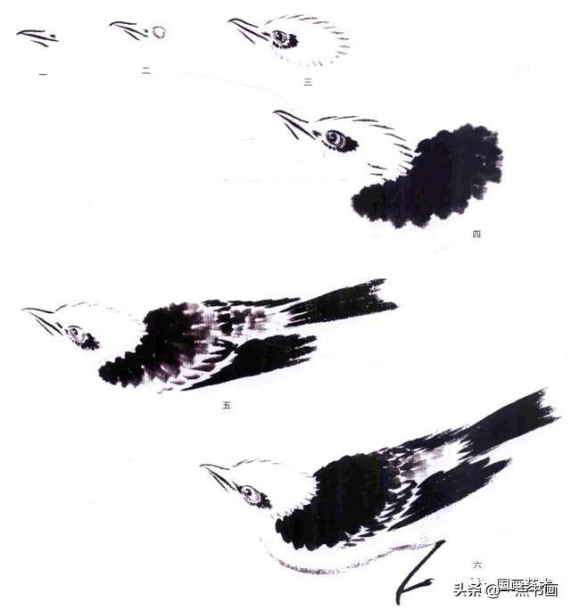 詹仁左写意鸟的画法，国画教程：写意仙鹤画法