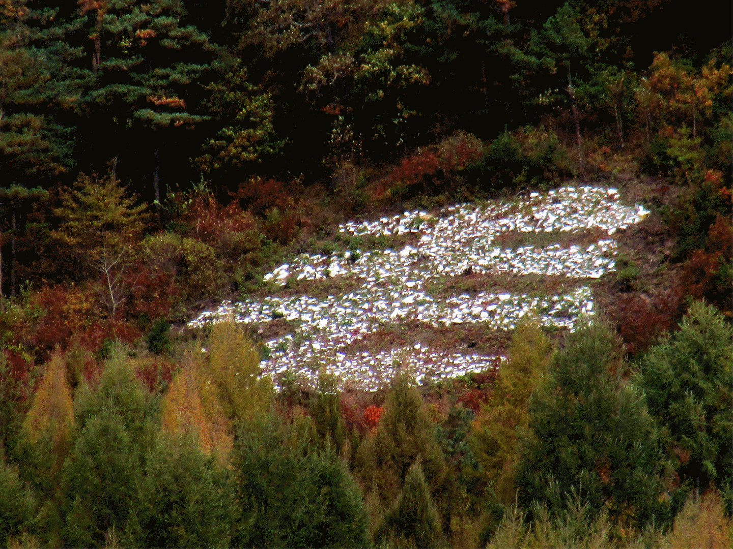 怎么制作一个闪图，如何制作QQ闪图