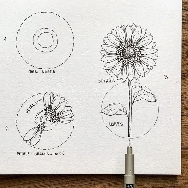 妙笔生花水墨画教程，教科书级别的植物线描