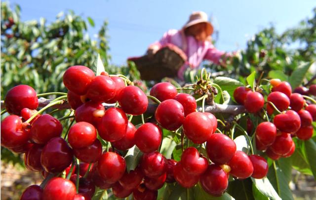 淄博当地特色美食，一座宝藏美食之城
