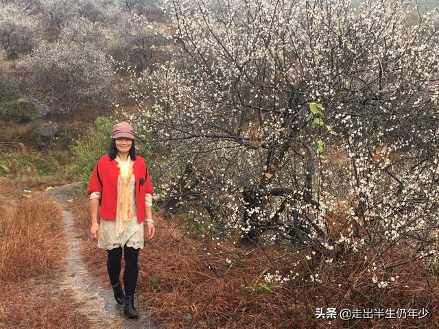 惠州市区旅游攻略自由行攻略，惠州最值得游玩的N个地方