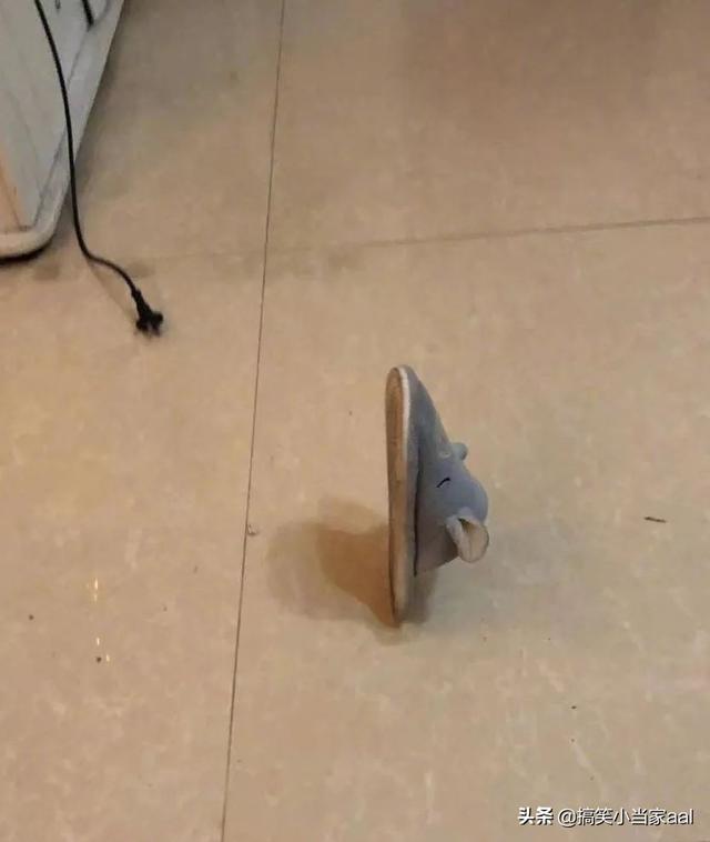 听说全网的扫把都可以自己立起来了，扫把的使用方法教程