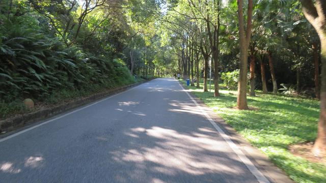 广州南沙湿地公园，广州南沙18涌湿地公园