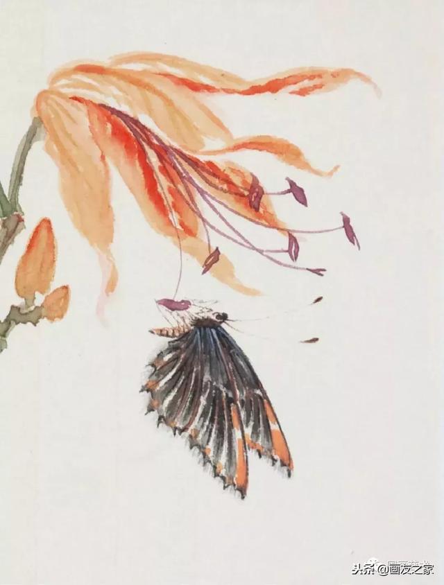 九尾狐最简单的画法教学，逐花之虫蝶蜂画法示范