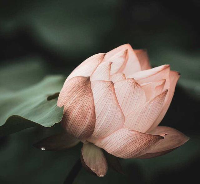 活得通透的人都有什么特征，在通透之人身上