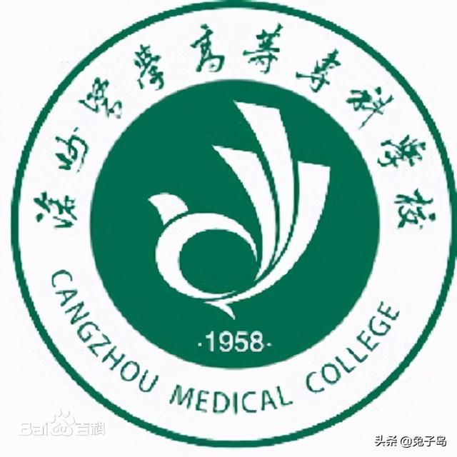 沧州职业技术学院，沧州职业技术学院排行河北（河北2022专科一批志愿分数线疯了）