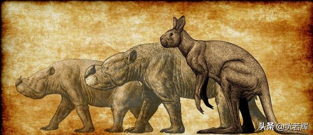 世界最大的淡水哺乳动物，这些动物有一个共同点
