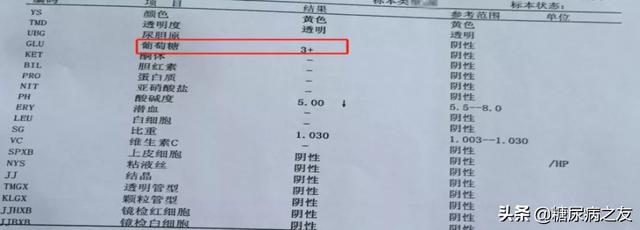 糖尿病的实验报告(糖尿病的实验报告医学基础)