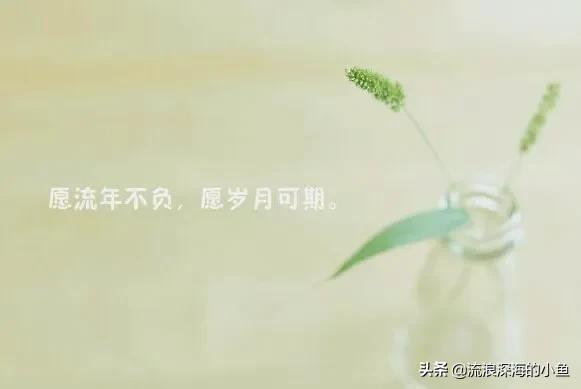 愿流年不负岁月可期，愿岁月无恙且以欢喜度流年