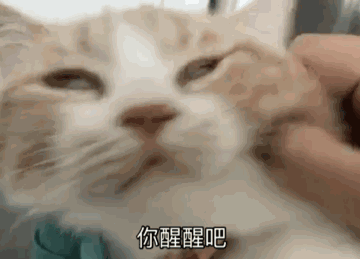 上海最贵的是什么，现在上海中环哪个板块卖的最贵