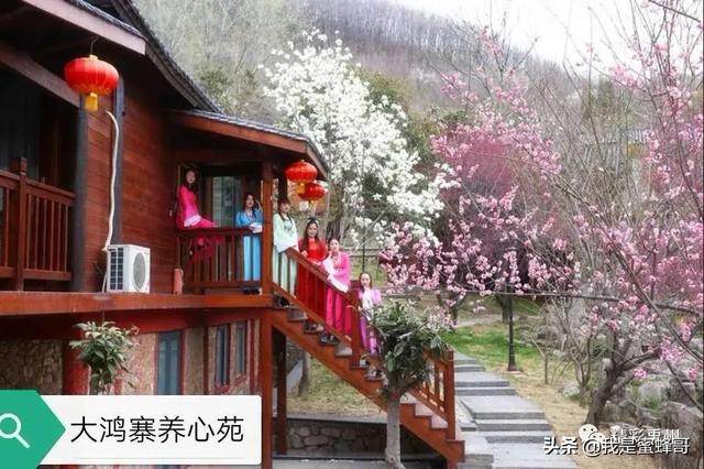 禹州值得去的景点，周末撒欢好去处