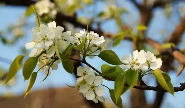 龙溪园水上乐园门票，沈阳周边旅游二日游