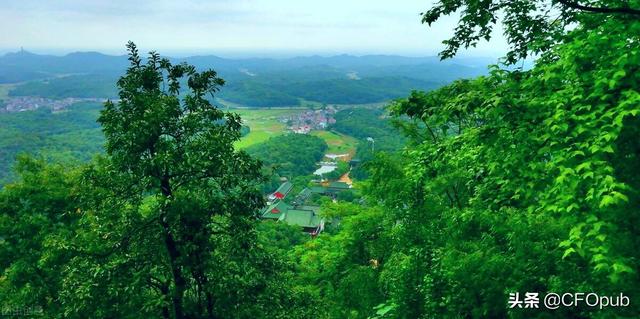 税务日常检查程序，日常税务检查