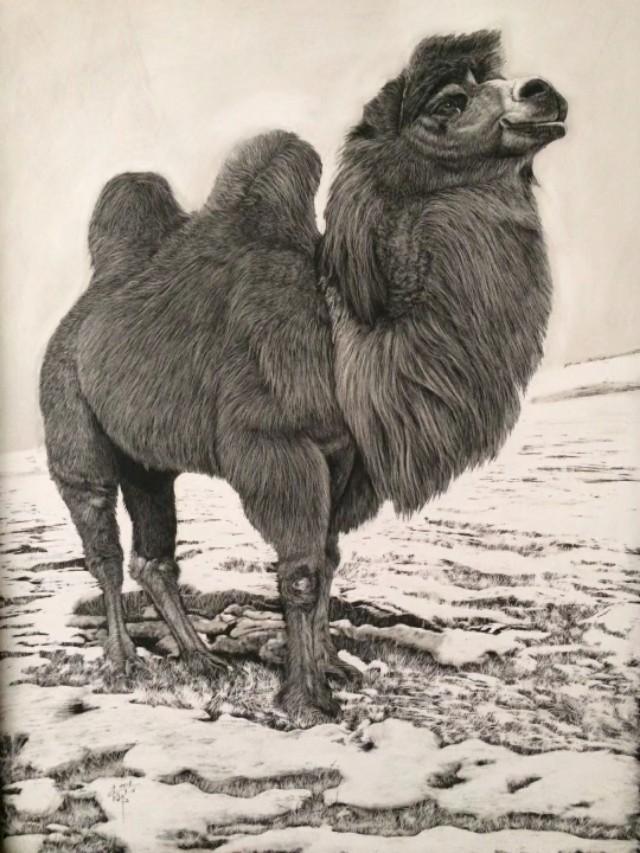 刮刮画作品大赏，刮画被他玩到极致