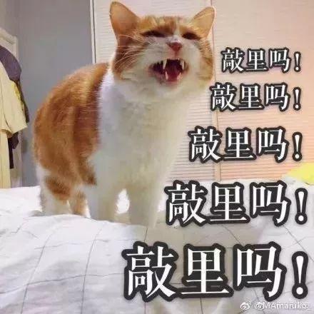 外国脏话是什么，中文脏话要逼疯外国网友了