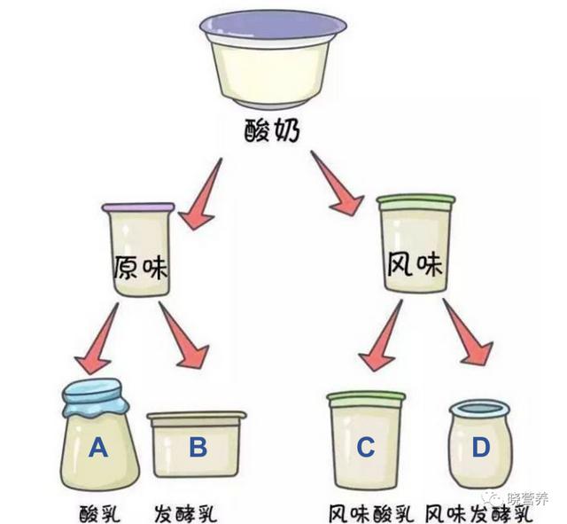 1分钟看懂酸奶，史上最全酸奶百科