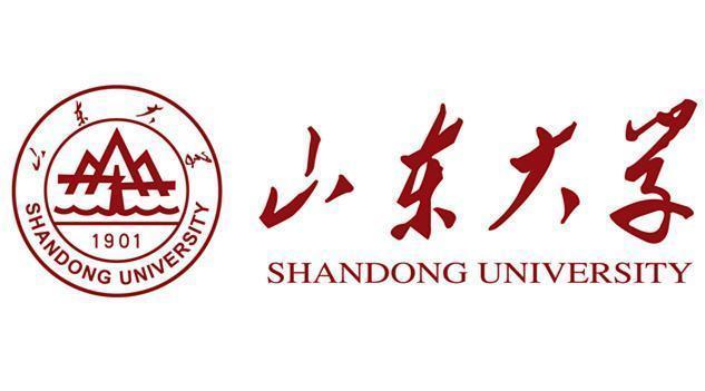 山东大学数学学院，山东大学数学系有哪些专业（山东大学有哪些王牌专业）