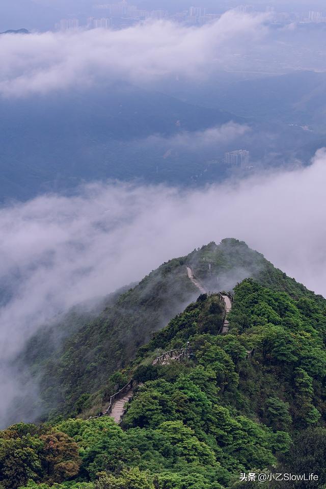 深圳小梧桐山登山路线，徒步深圳第一峰梧桐山