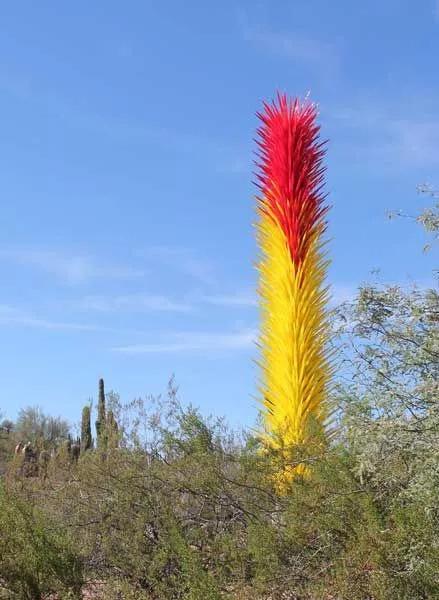 老树长新芽枯木又开花，枯木逢春老树开花