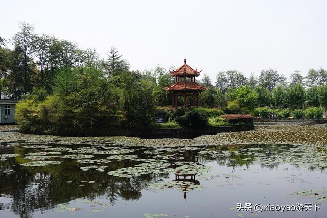 四川大学望江校区，最美四川大学望江校区