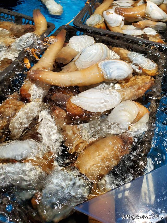 三星s10怎么样，三星s10有什么优缺点（三星S10究竟如何）